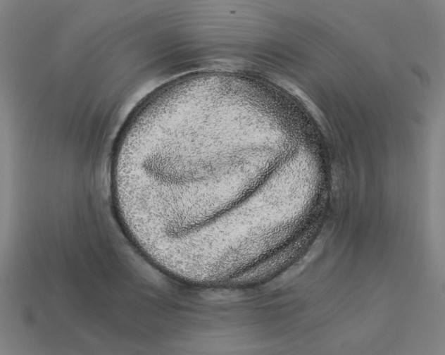 X0000113241083200910081253