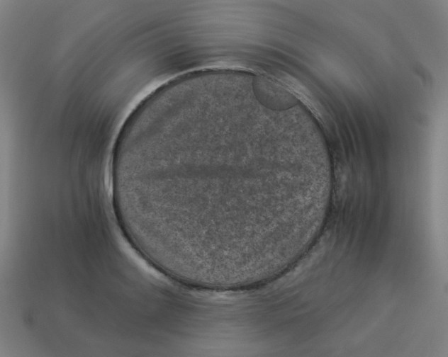 X0000113241084200910081253