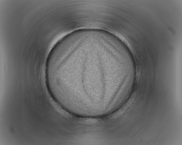 X0000113241085200910081253