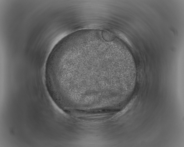 X0000113241087200910081253