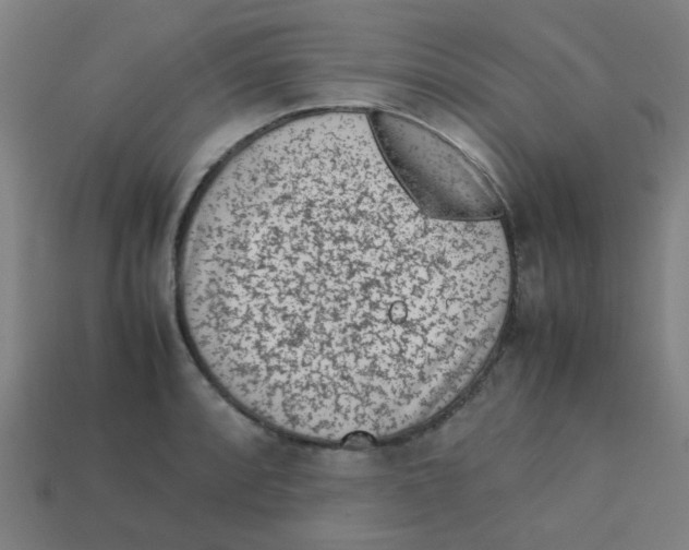 X0000113241088200910081253