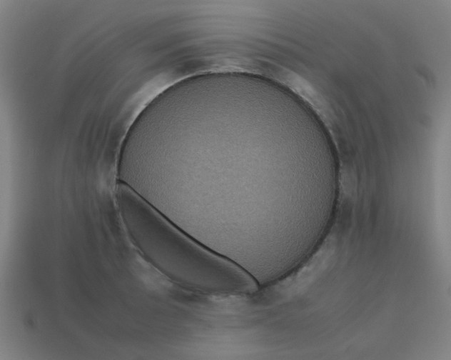 X0000113241089200910081253