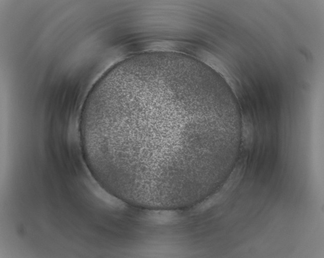 X0000113241090200910081253