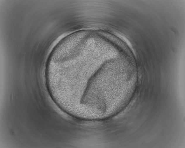 X0000113241091200910081253