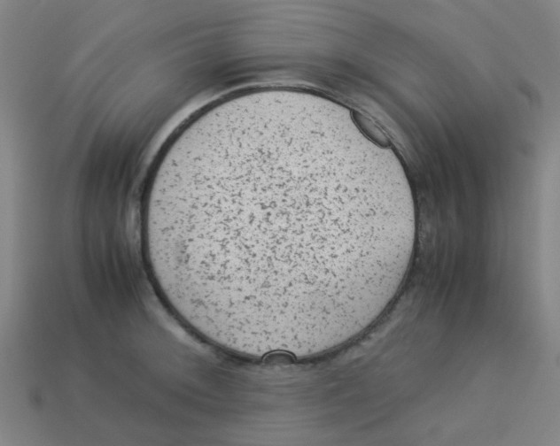 X0000113241092200910081253