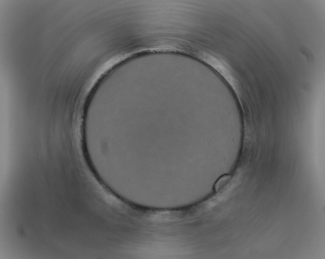 X0000113241093200910081253