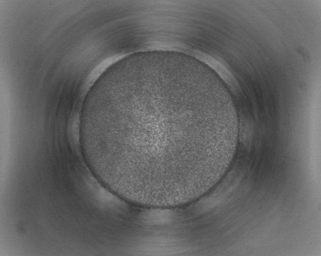 X0000113241094200910081253