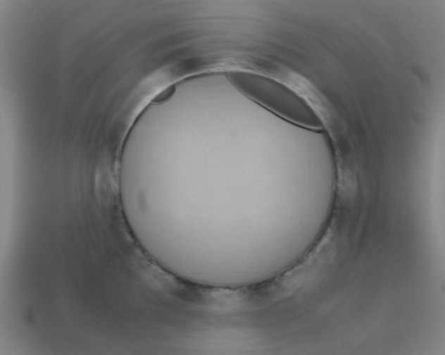 X0000113241097200910081253
