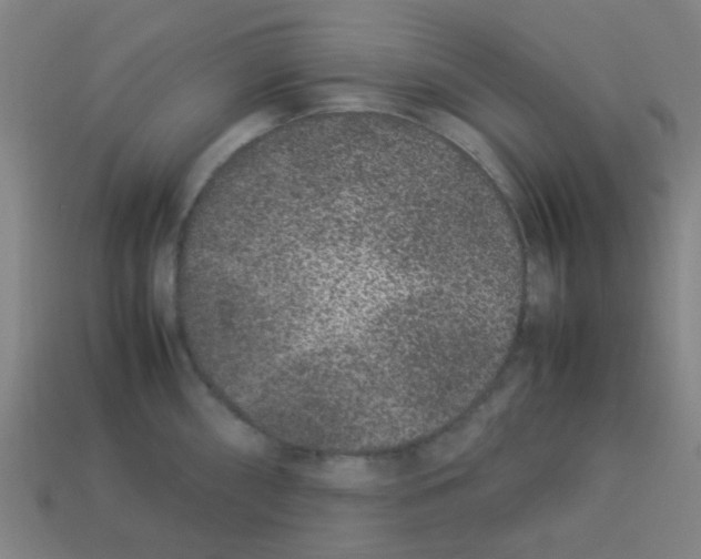 X0000113241098200910081253
