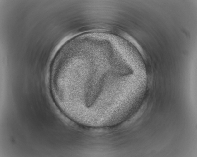 X0000113241099200910081253