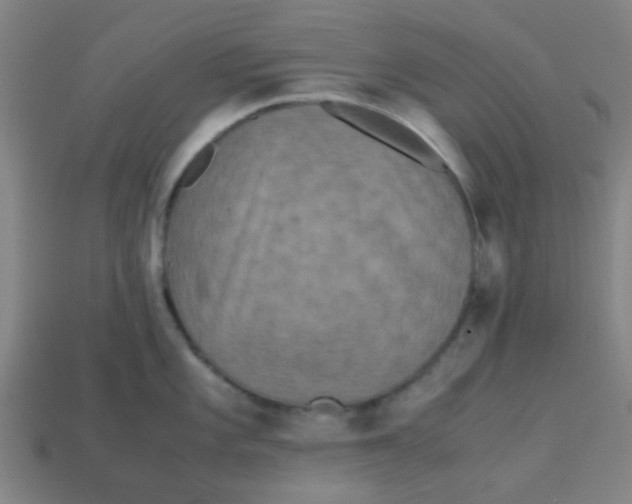 X0000113241101200910081253