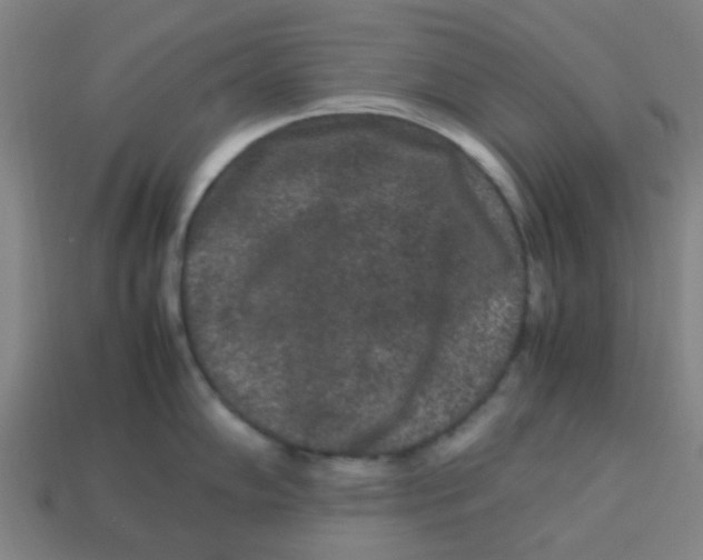 X0000113241102200910081253
