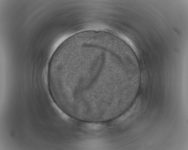 X0000113241103200910081253
