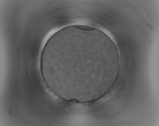 X0000113241104200910081253
