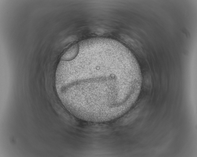 X0000113241105200910081252