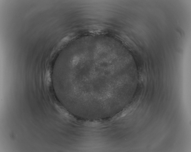 X0000113241106200910081252