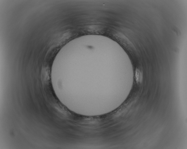 X0000113241107200910081252