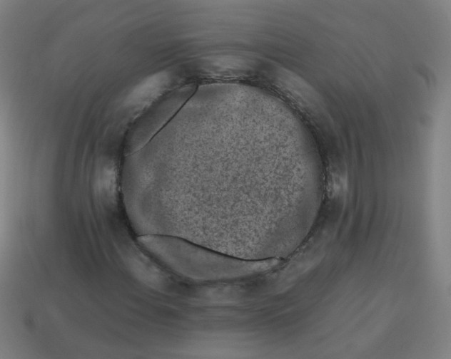 X0000113241108200910081252