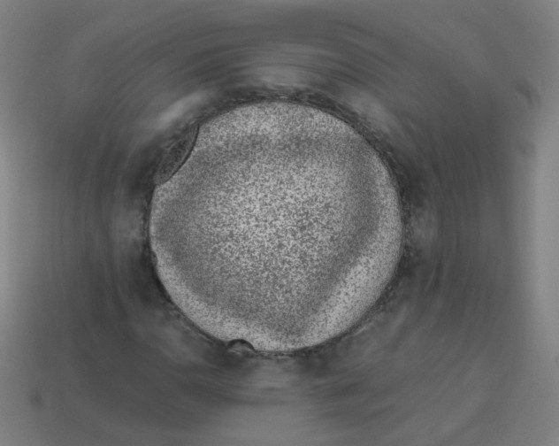 X0000113241110200910081252