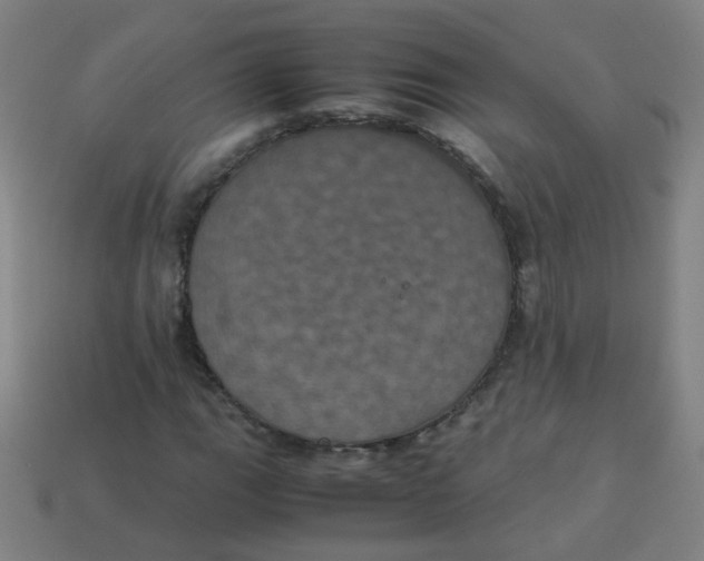 X0000113241111200910081252