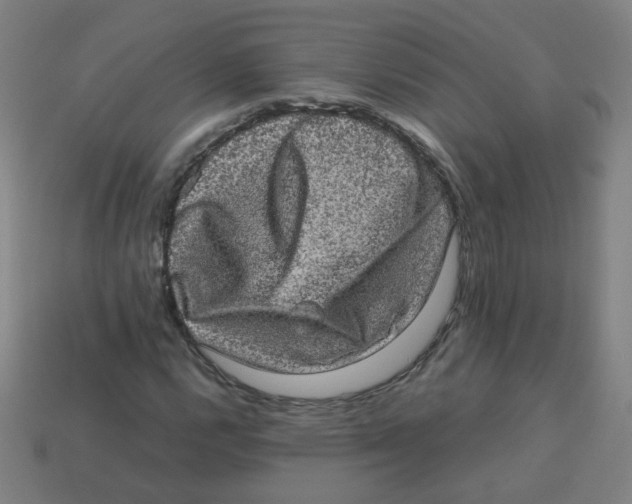 X0000113241112200910081252