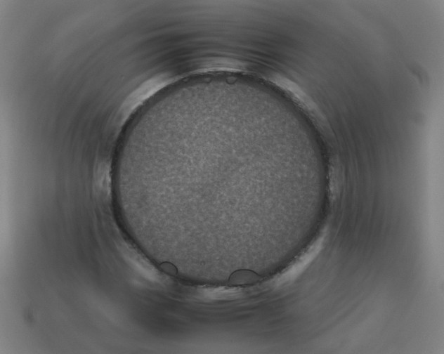 X0000113241113200910081252