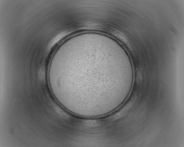 X0000113241114200910081252