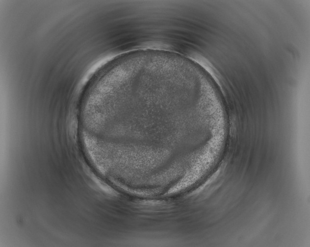 X0000113241115200910081252