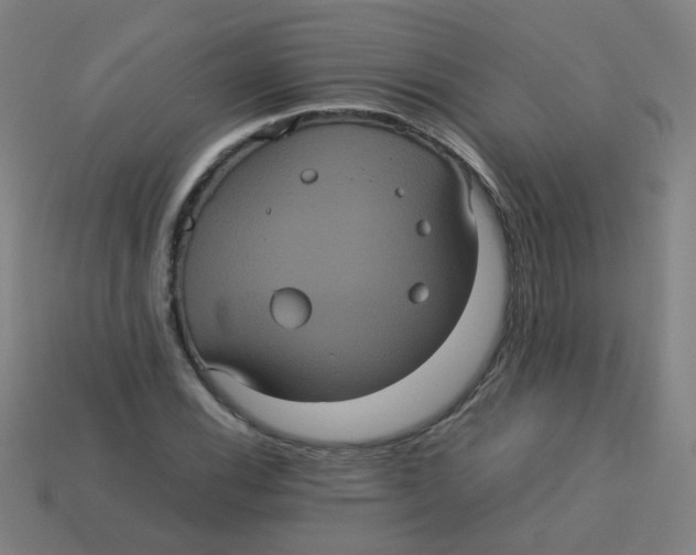X0000113241116200910081252