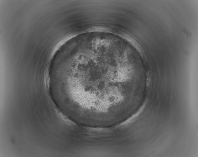 X0000113241117200910081252