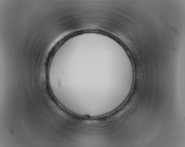 X0000113241118200910081252