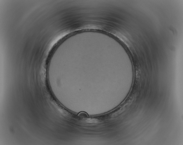 X0000113241119200910081252