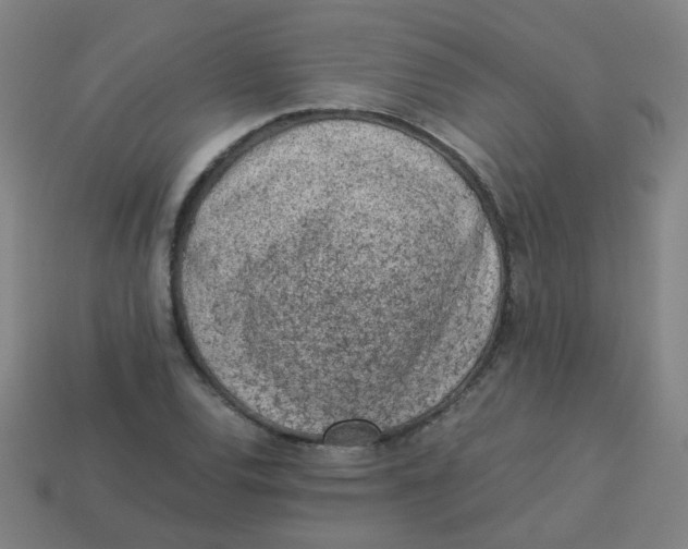 X0000113241120200910081252