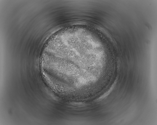 X0000113241121200910081252