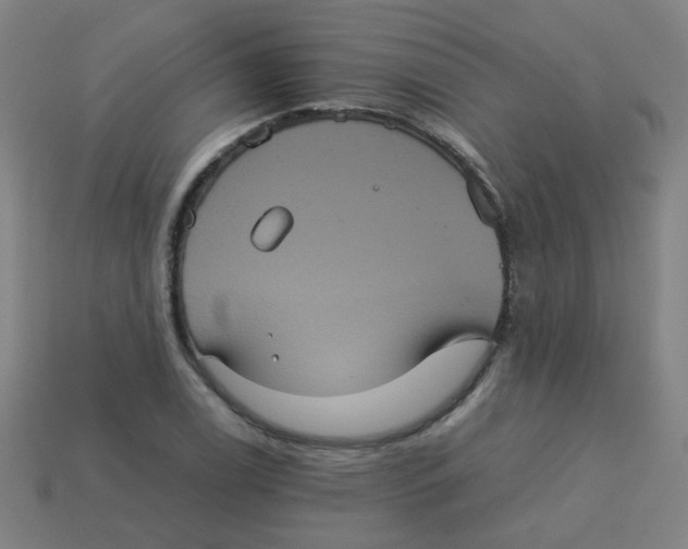 X0000113241122200910081252