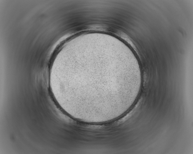 X0000113241123200910081252