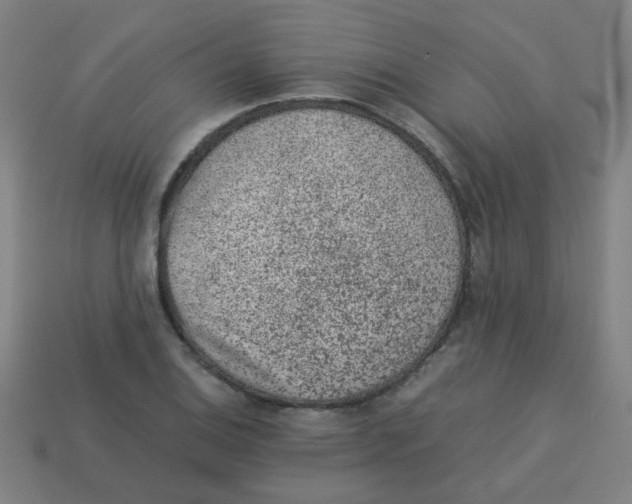 X0000113241124200910081252
