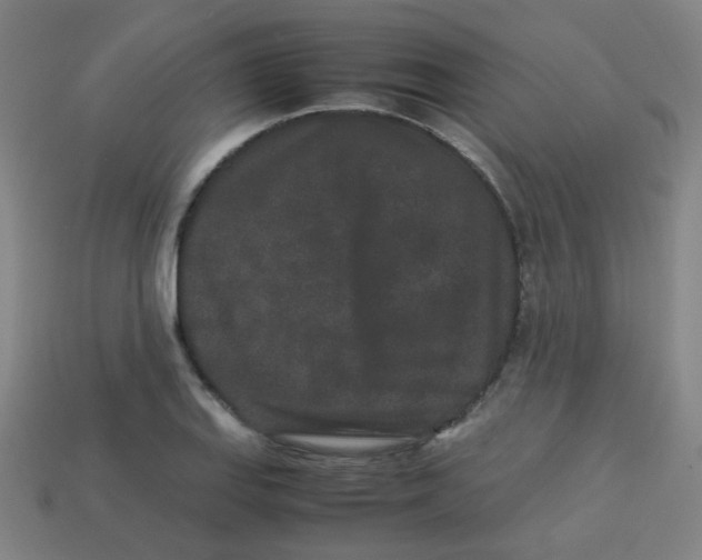 X0000113241127200910081252