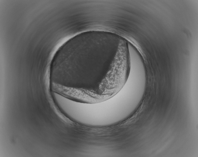 X0000113241128200910081252