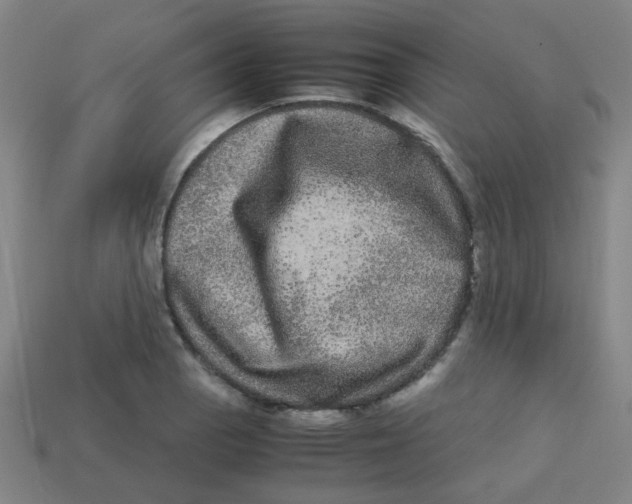 X0000113241129200910081252