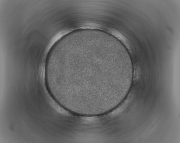 X0000113241130200910081252