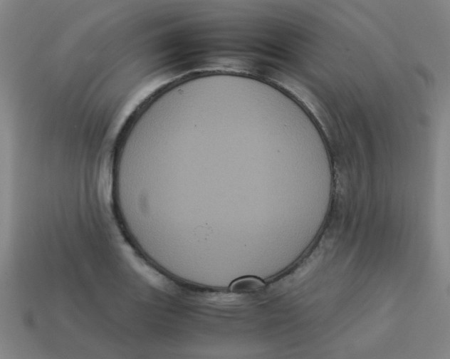 X0000113241131200910081252