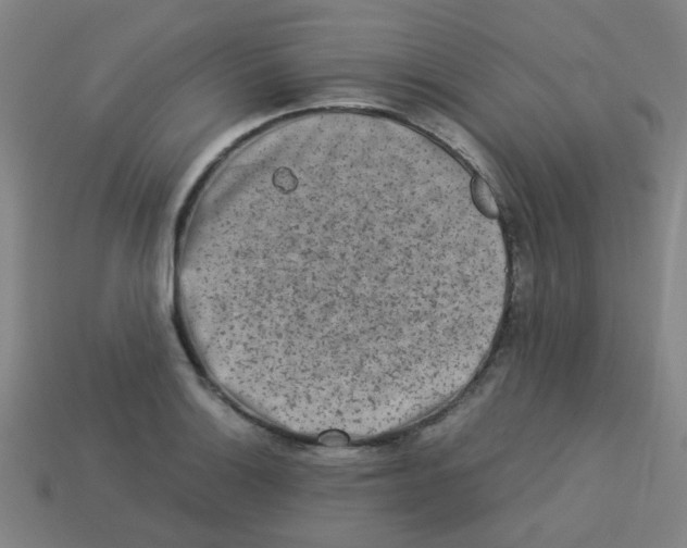X0000113241132200910081252