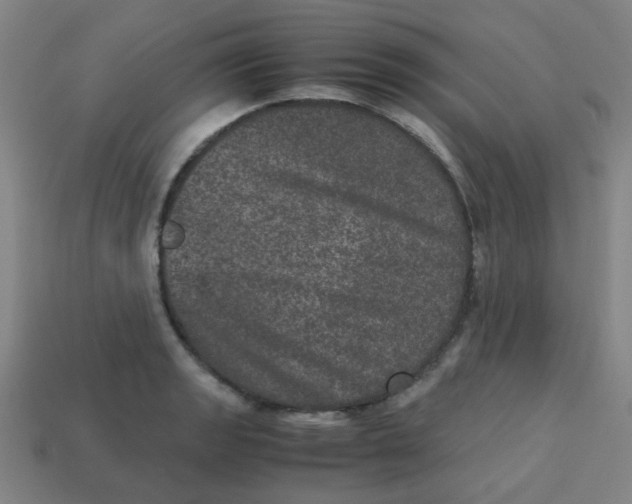 X0000113241133200910081252