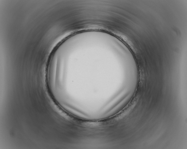 X0000113241134200910081252