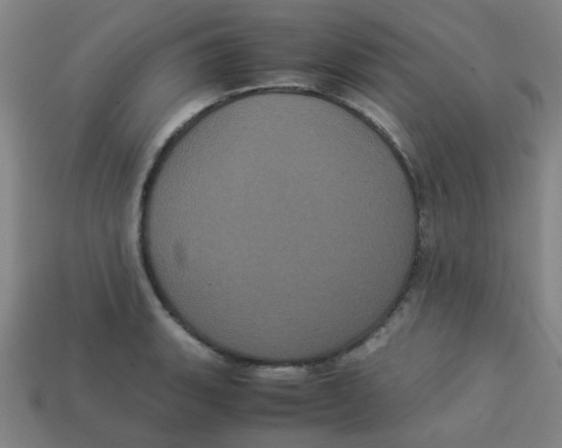 X0000113241135200910081252