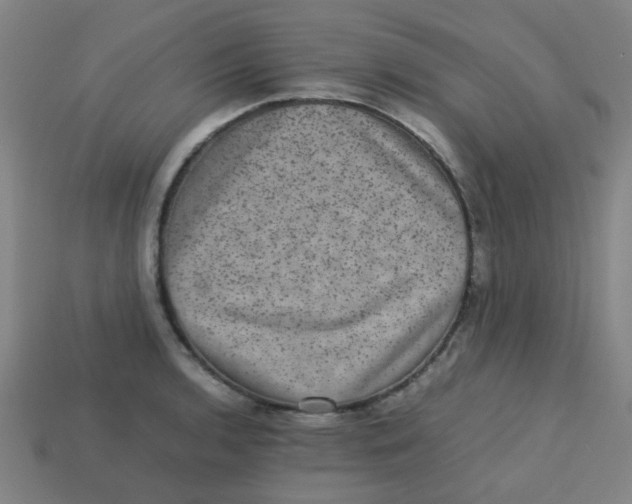 X0000113241136200910081252