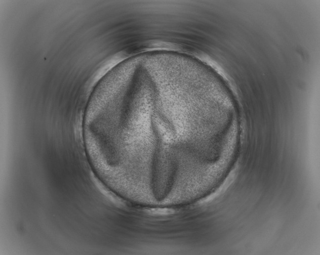 X0000113241137200910081252