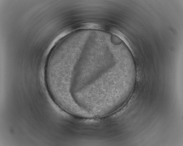 X0000113241139200910081252