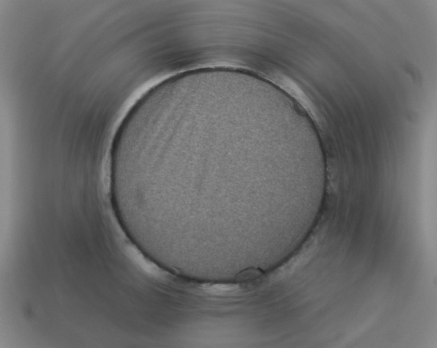 X0000113241140200910081252